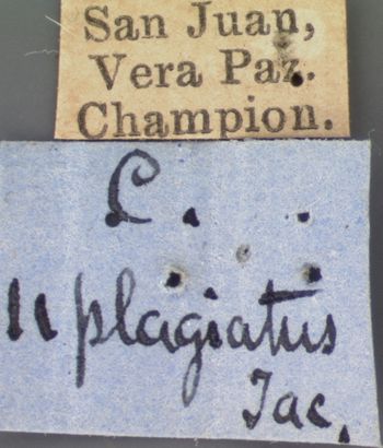 Media type: image; Entomology 9274   Aspect: labels 2